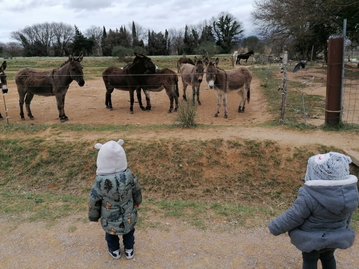 Jeune enfant participant à une activité ludique accompagné par un adulte